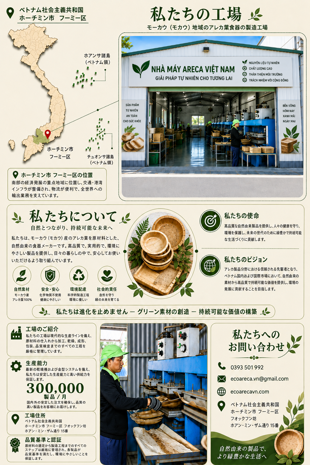 Eco Areca About Us