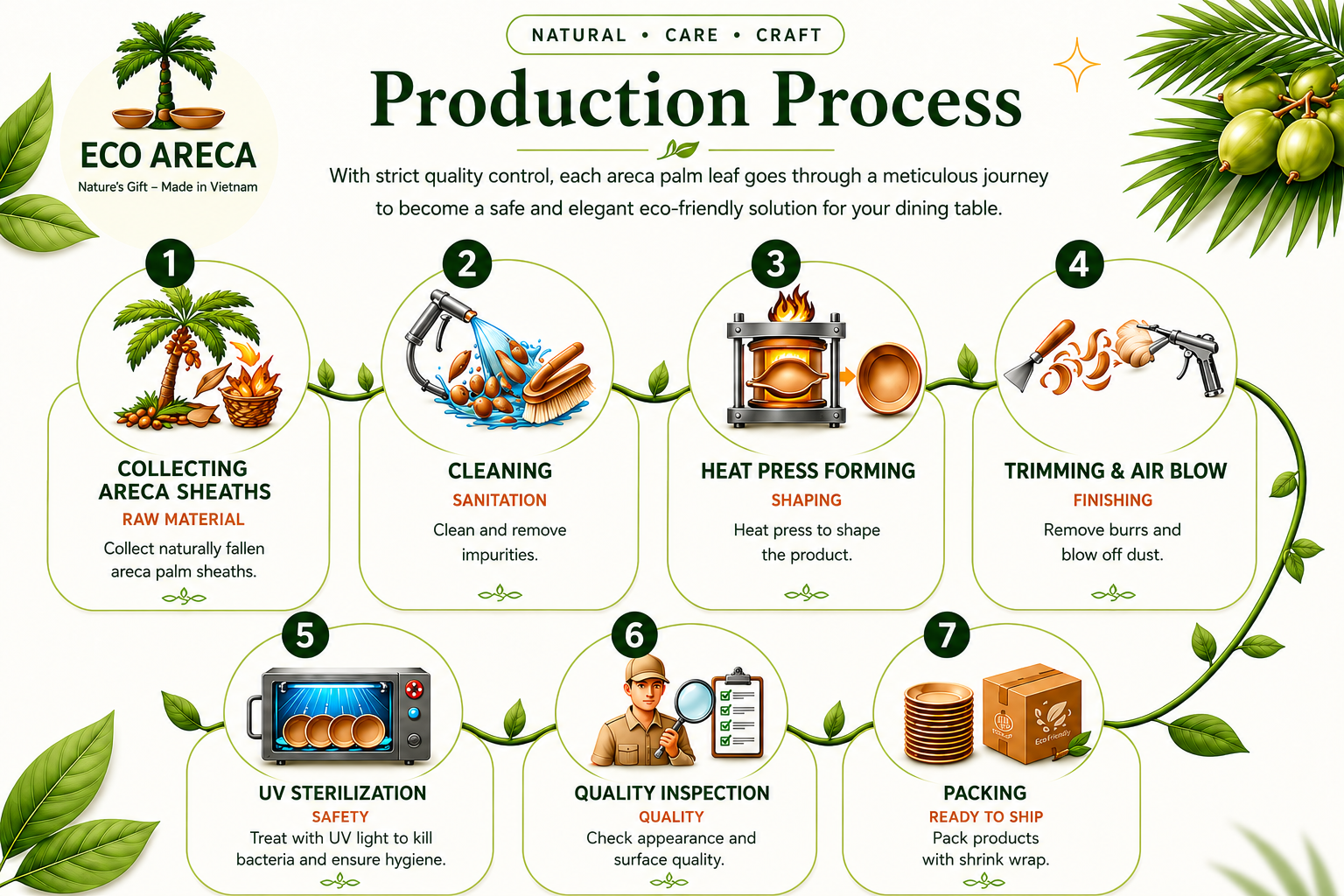 Eco Areca production process